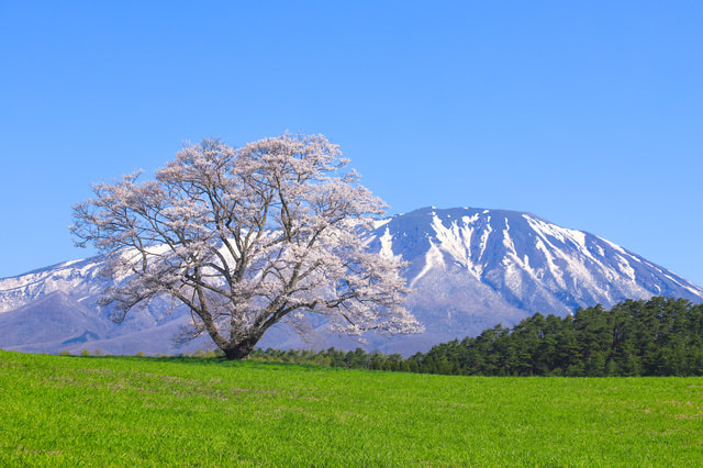 岩手県私立病院協会ビルボード_岩手県の名勝地